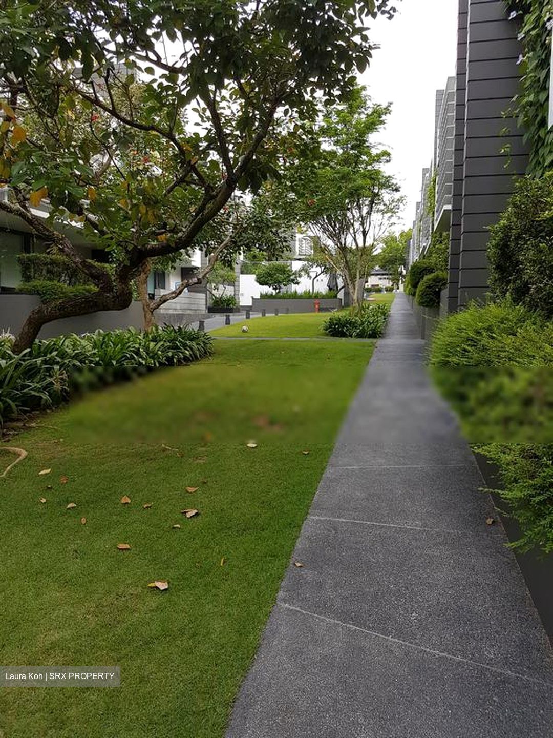 Illoura (D10), Terrace #411474431